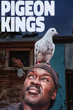 Pigeon Kings