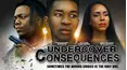 Undercover Consequences