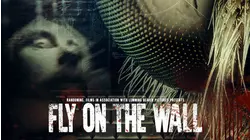 Fly on the Wall