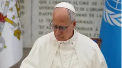 Pope Leo calls to "disarm" artificial intelligence in his first papal encyclical