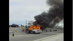 World's Wildest Police Videos