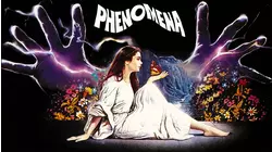 Phenomena