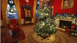 Get an Inside Look at 2025 White House Christmas Decorations