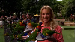 Gold Coast Australia