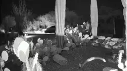 El FBI analiza vehículos que circularon cerca de la casa de Guthrie la noche de la desaparición