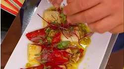 Spain's Vegetable Garden