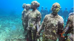 Caribbean Art and a Clipper Race