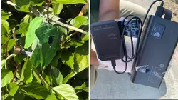 Lakewood neighborhood on edge after hidden cameras found in bushes