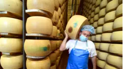 11 Of The Most Faked Foods In The World
