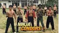 Ninja Condors 13