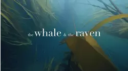 The Whale and The Raven