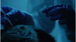 Cold Case Files: Circle of Friends -- Cold Case Files