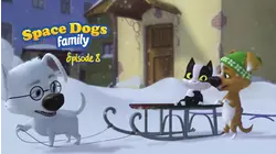 Season 1, Episodes 36-40