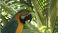Beautiful Costa Rica
