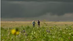 Ask This Old House | Landscapes Across America