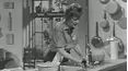 The French Chef