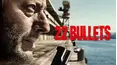 22 Bullets