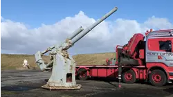 Aircraft Gun, Ice Sculpture, Lodge