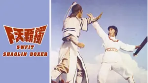 Swift Shaolin Boxer