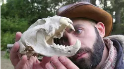 Phantom of the Wilderness