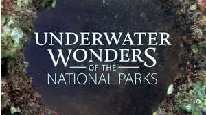 Underwater Wonders Of The National Parks