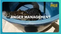 Anger Management