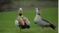Life's Funniest Moments