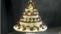 A Bittersweet Homecoming