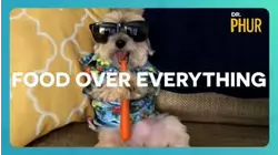 Dr. Phur | Food over everything