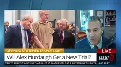 Will Alex Murdaugh Get a New Trial?