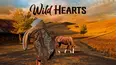 Wild Hearts
