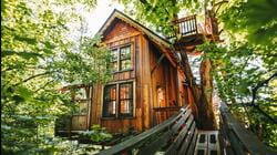 Tiny BNB: Magic Among the Trees