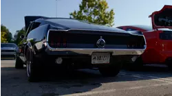 Boston's (Un)Common Collection