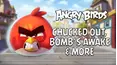Angry Birds