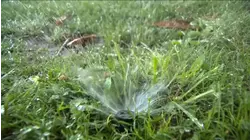 Proposed water rate increase for Clovis residents