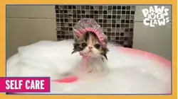 Paws VS. Claws | Self Care