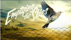 Emptying the Skies