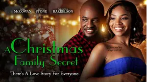 A Christmas Family Secret