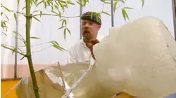 Viewer Special Threequel