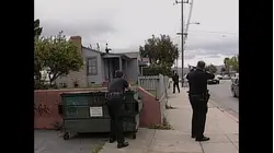 World's Wildest Police Videos