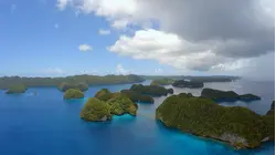 Palau Shark Sanctuary