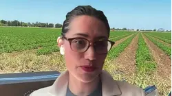 Activistas creen que las denuncias contra Chávez no tienen "mucho impacto" en el movimiento sindical