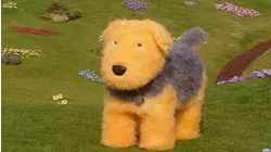Our Dog Alice