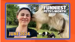 Ep. 1.7