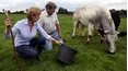 The Yorkshire Vet