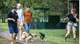The Dog House Australia