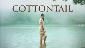Cottontail