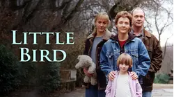 Little Bird