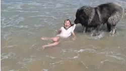 Best Pets of the Week | August 2018 Week 3