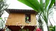 Tiny Paradise